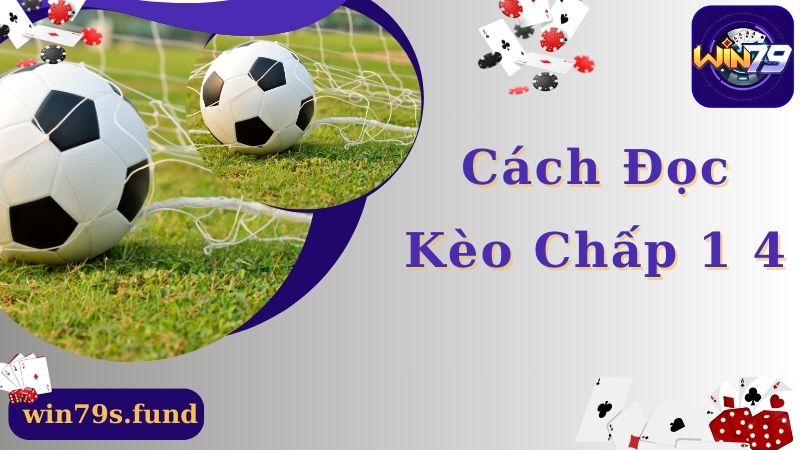 Cách đọc kèo chấp 1 4 chuẩn xác dành cho newbie