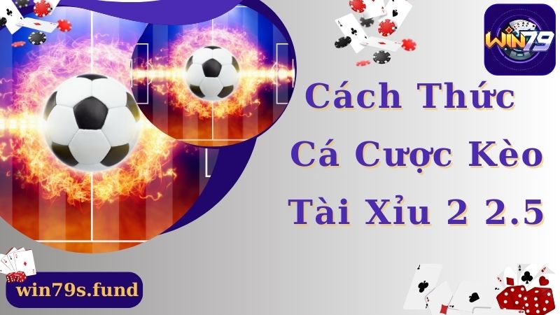 Cách thức cá cược tài xỉu 2 2.5 chuẩn xác cho newbie