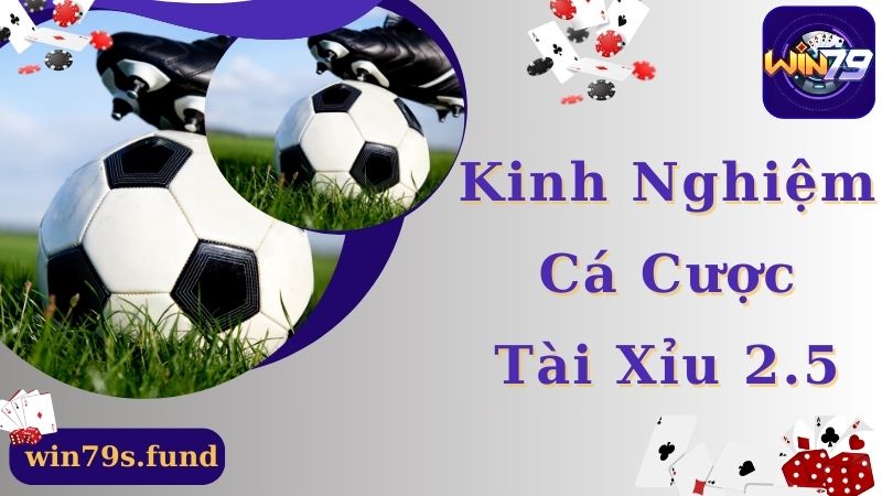 Kinh nghiệm chơi dạng kèo tài xỉu 2.5 hay từ cao thủ