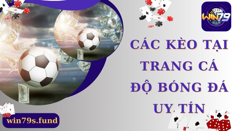 Các kèo trang cá độ bóng đá uy tín cung cấp