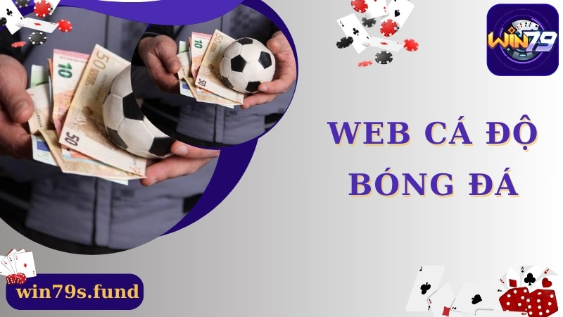 Top 4 Trang Web Cá Độ Bóng Đá Xanh Chín, Uy Tín